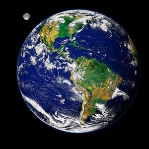 Meet your Posher, Dixie